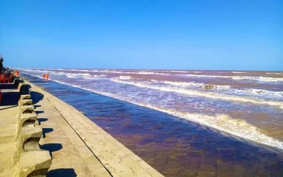 Biển Ba Động Trà Vinh - Điểm đến Trà Vinh